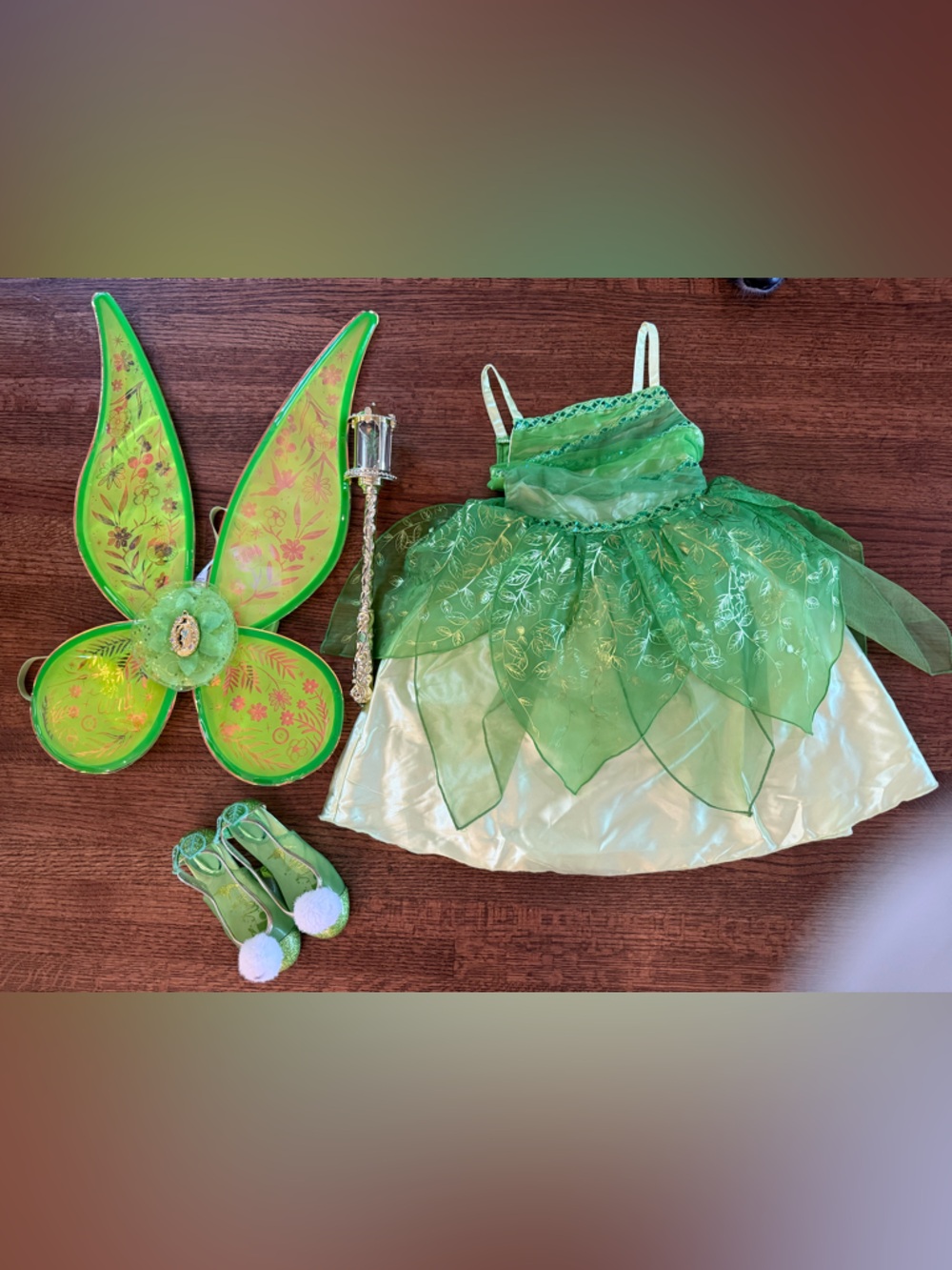 Disney Tinkerbell Costume Set with Wings, Wand & Pom-Pom Shoes